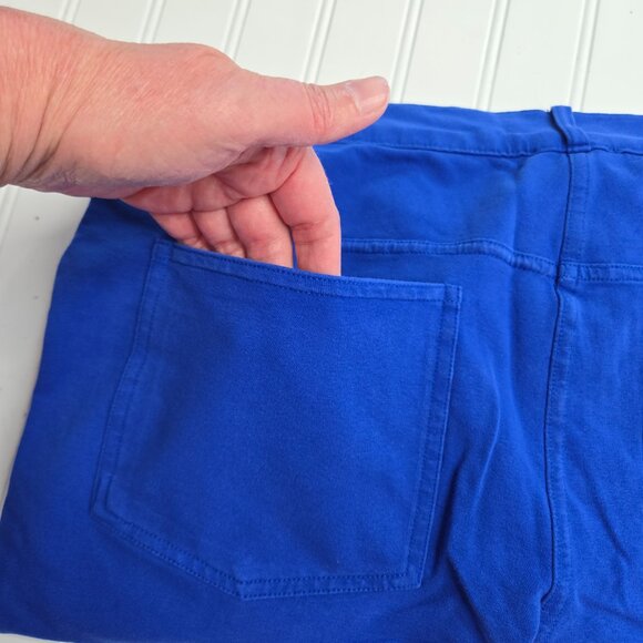 NWOT Avon's Mark Royal Blue Stretch Skinny Zip Fly Soft Pants Plus Size XXL New - Picture 4 of 10